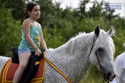 I nostri amici animali